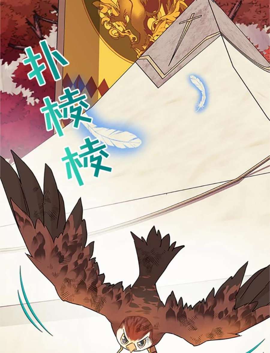 传令鸟公主殿下15.克拉诺尔的阵地