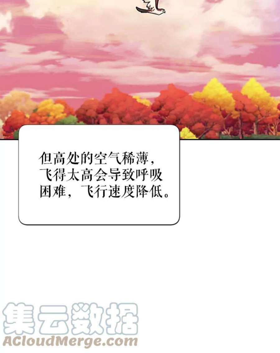 传令鸟公主殿下15.克拉诺尔的阵地