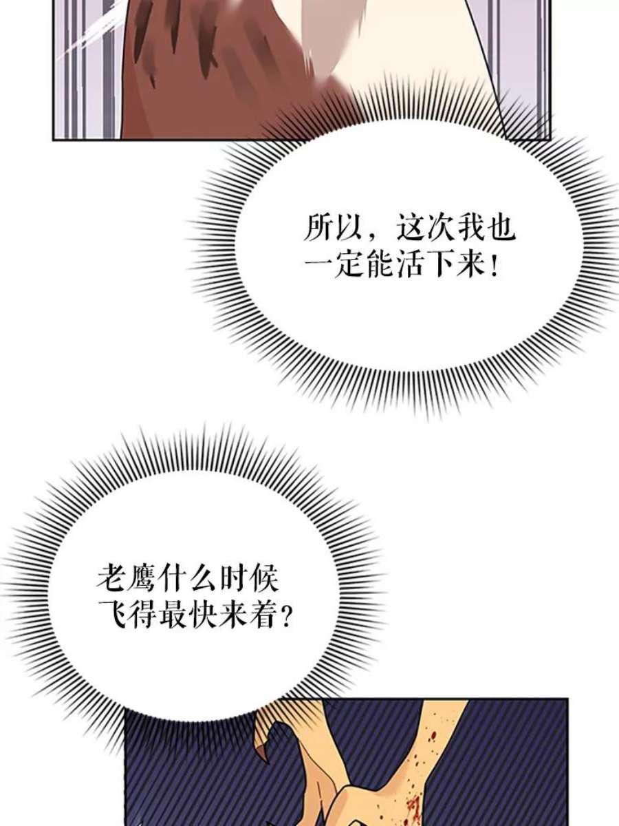 传令鸟公主殿下16.我们夺话黑色防御墙了！