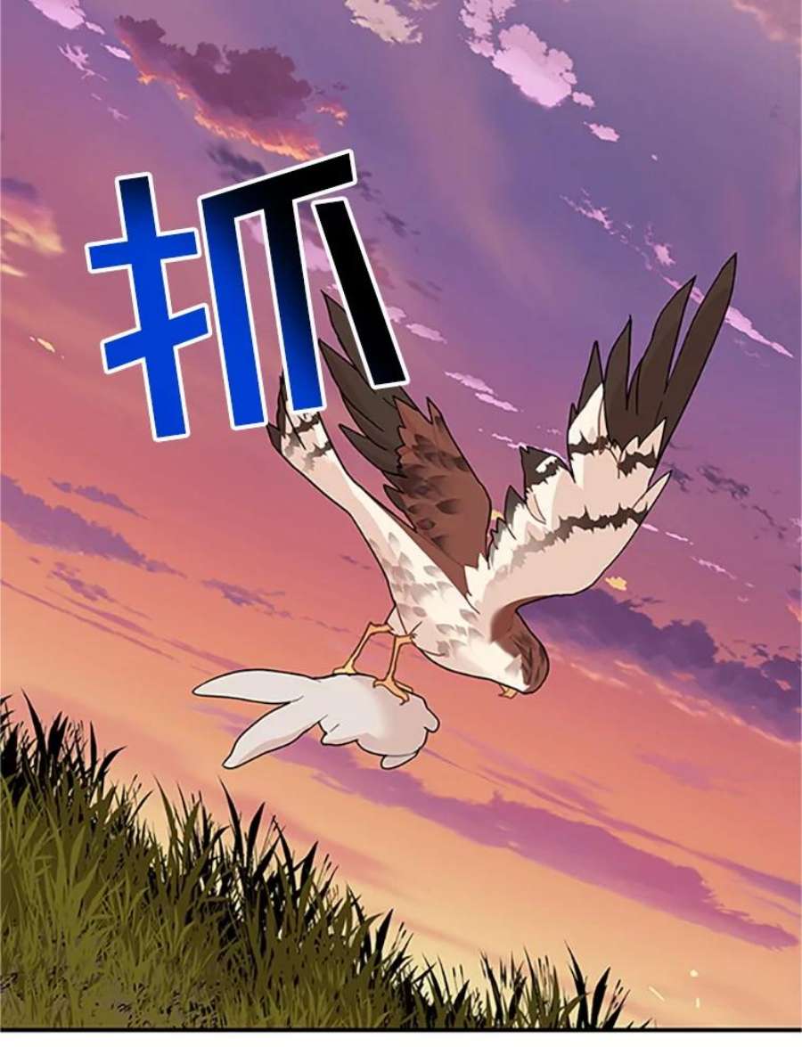传令鸟公主殿下16.我们夺话黑色防御墙了！