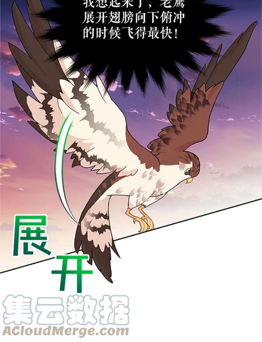 传令鸟公主殿下16.我们夺话黑色防御墙了！