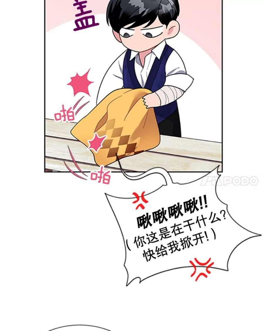 传令鸟公主殿下16.我们夺话黑色防御墙了！
