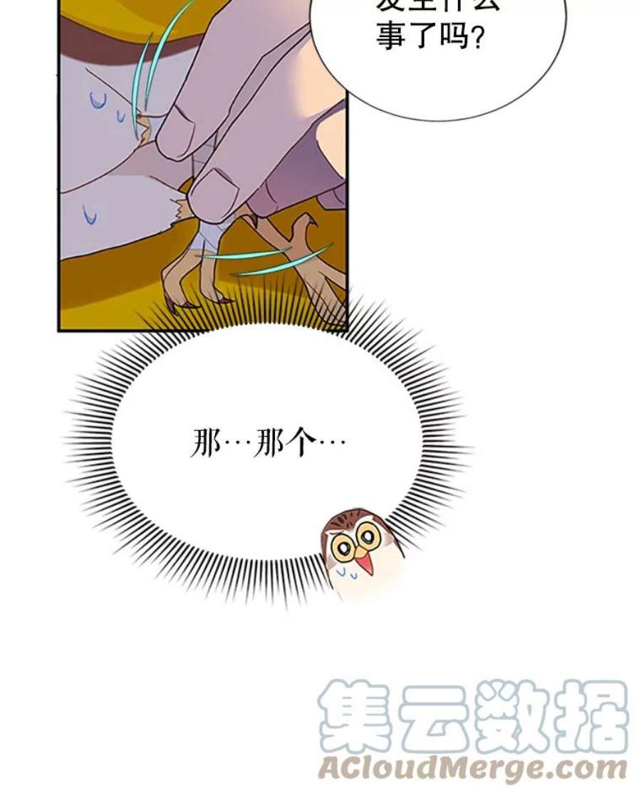 传令鸟公主殿下16.我们夺话黑色防御墙了！