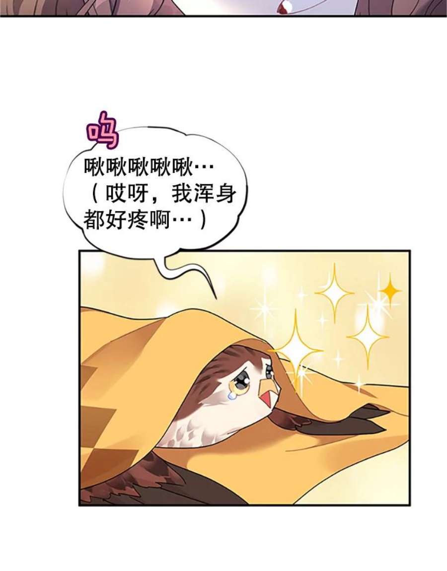 传令鸟公主殿下16.我们夺话黑色防御墙了！
