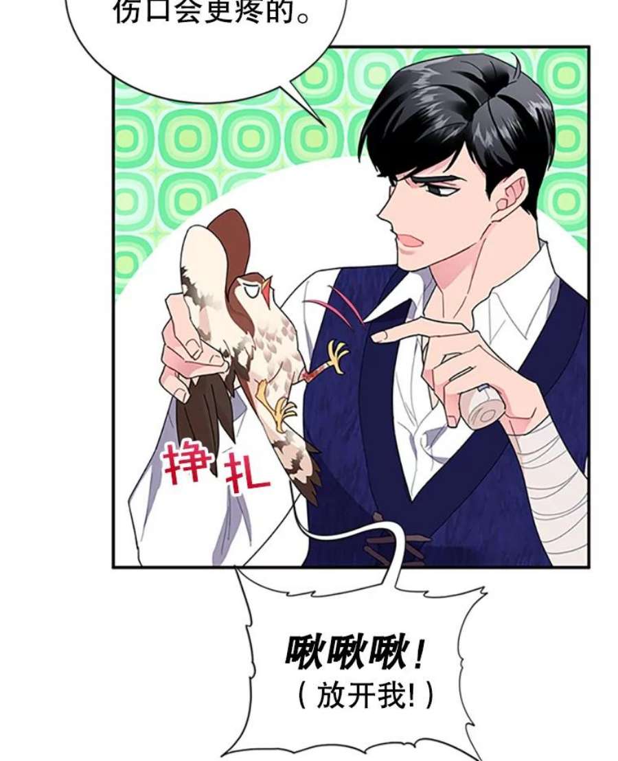 传令鸟公主殿下16.我们夺话黑色防御墙了！