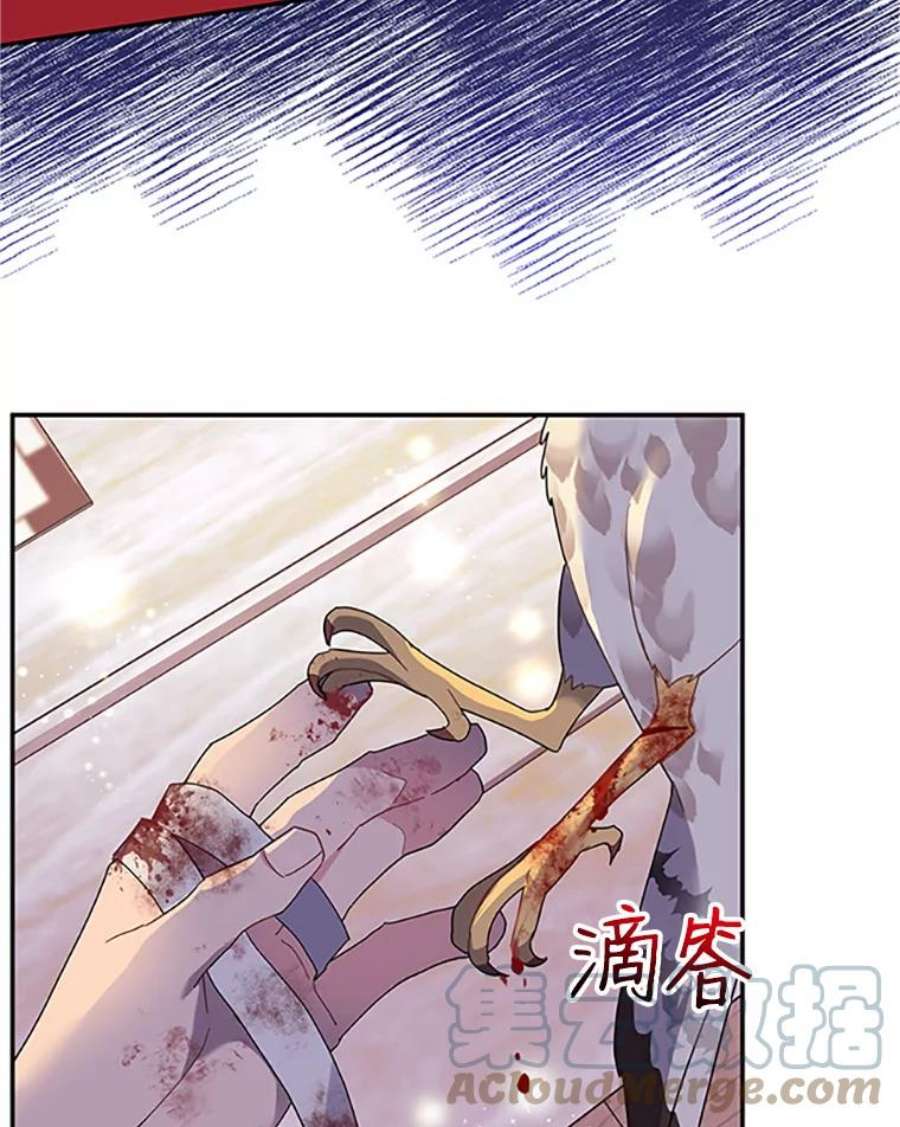 传令鸟公主殿下16.我们夺话黑色防御墙了！