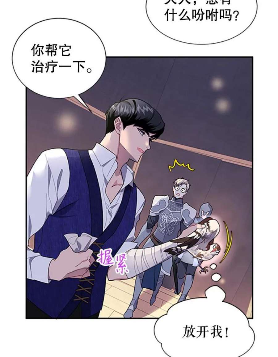 传令鸟公主殿下17.养伤