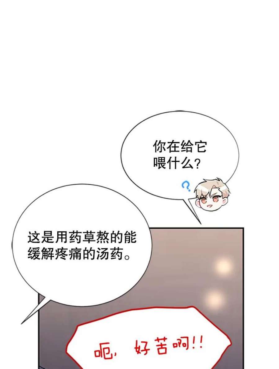 传令鸟公主殿下17.养伤