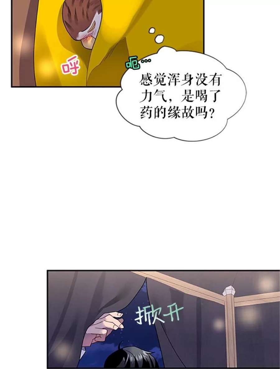 传令鸟公主殿下17.养伤