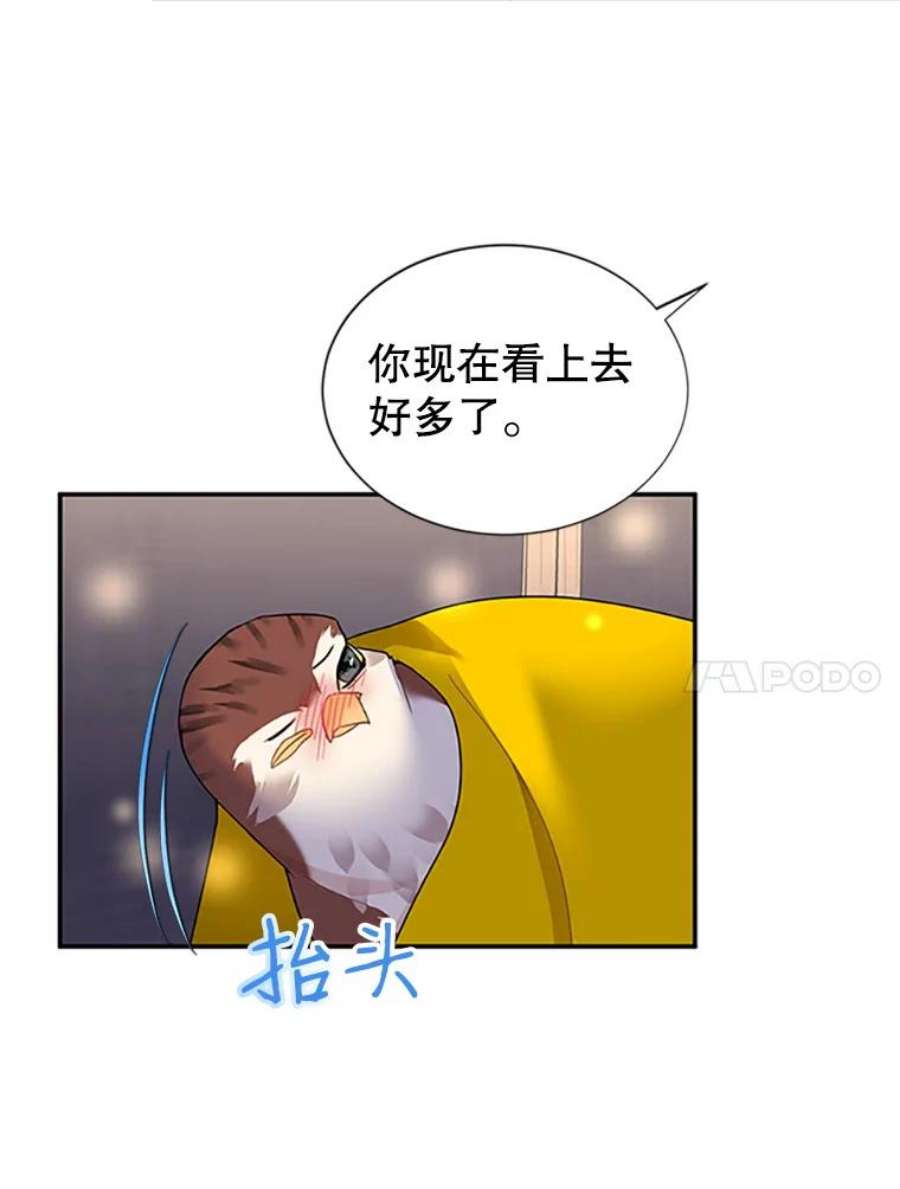 传令鸟公主殿下17.养伤