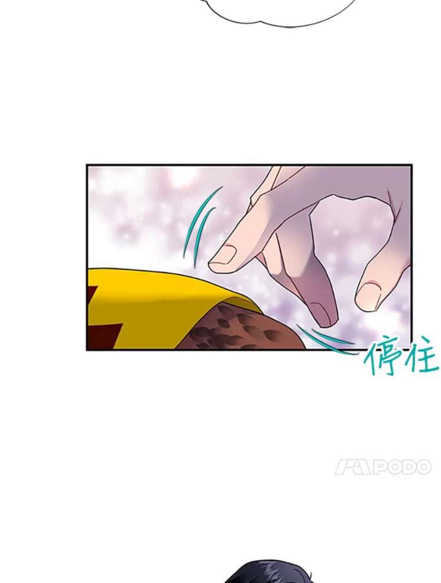 传令鸟公主殿下17.养伤