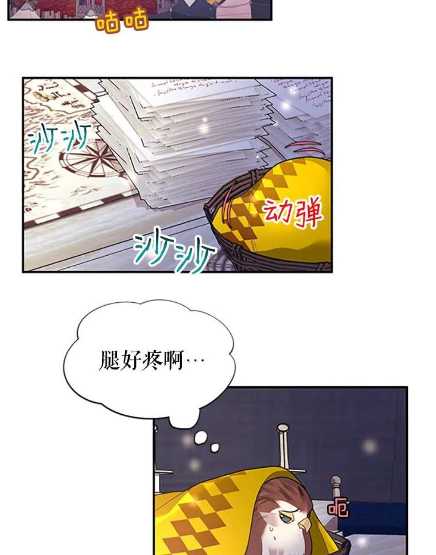 传令鸟公主殿下17.养伤