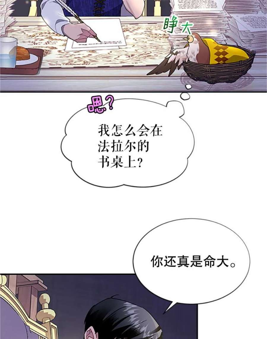 传令鸟公主殿下17.养伤