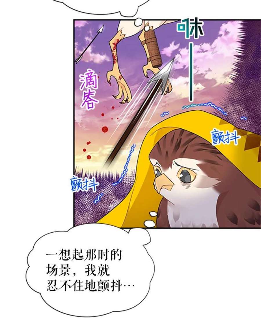 传令鸟公主殿下17.养伤