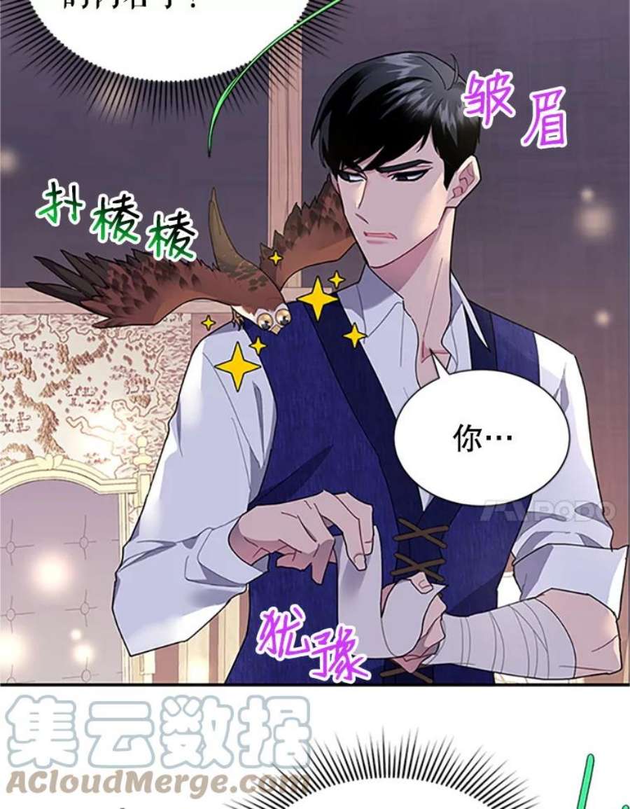 传令鸟公主殿下17.养伤