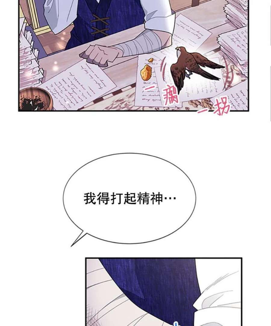 传令鸟公主殿下17.养伤