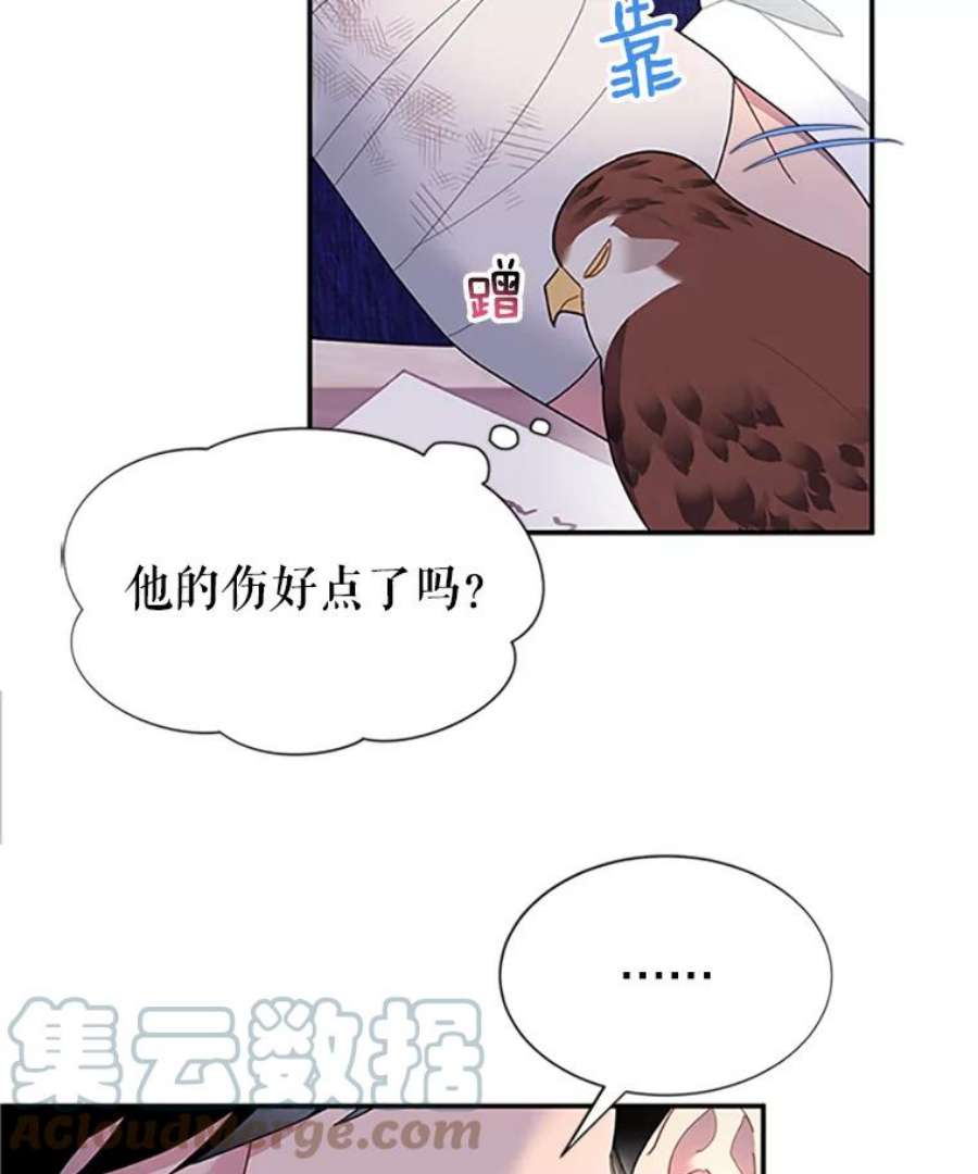 传令鸟公主殿下17.养伤