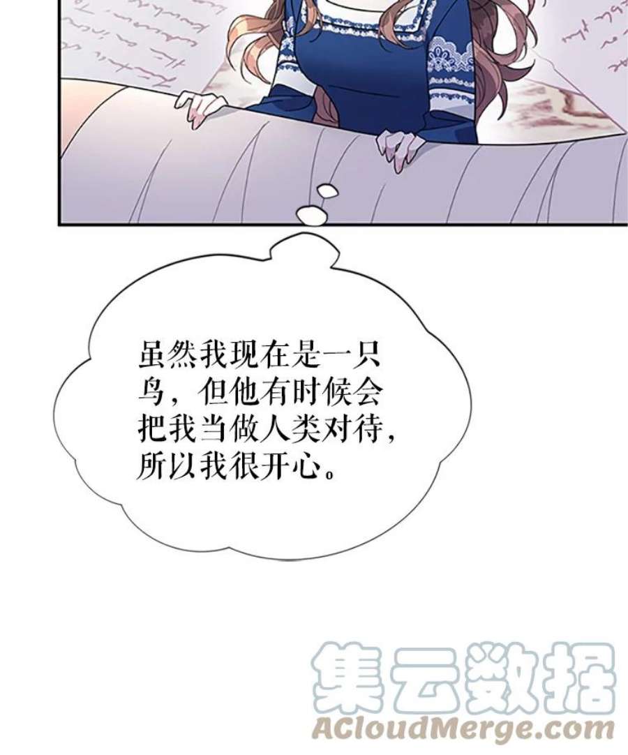 传令鸟公主殿下17.养伤