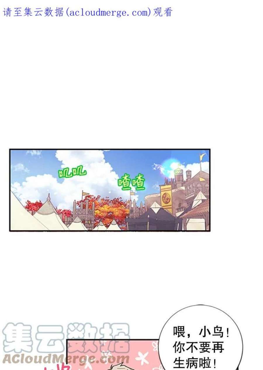 传令鸟公主殿下18.任务终止？！