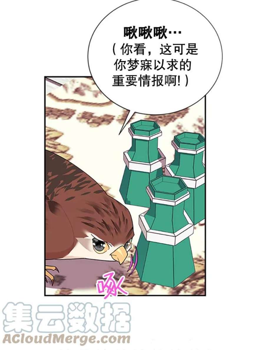 传令鸟公主殿下18.任务终止？！