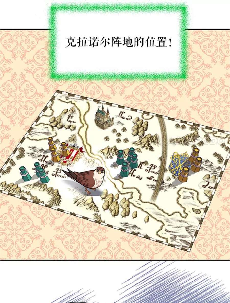 传令鸟公主殿下18.任务终止？！