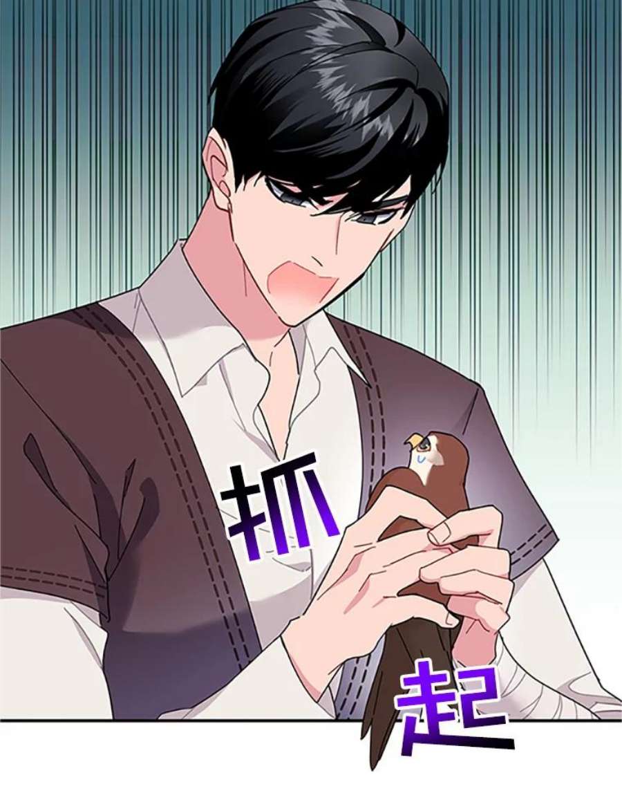 传令鸟公主殿下18.任务终止？！