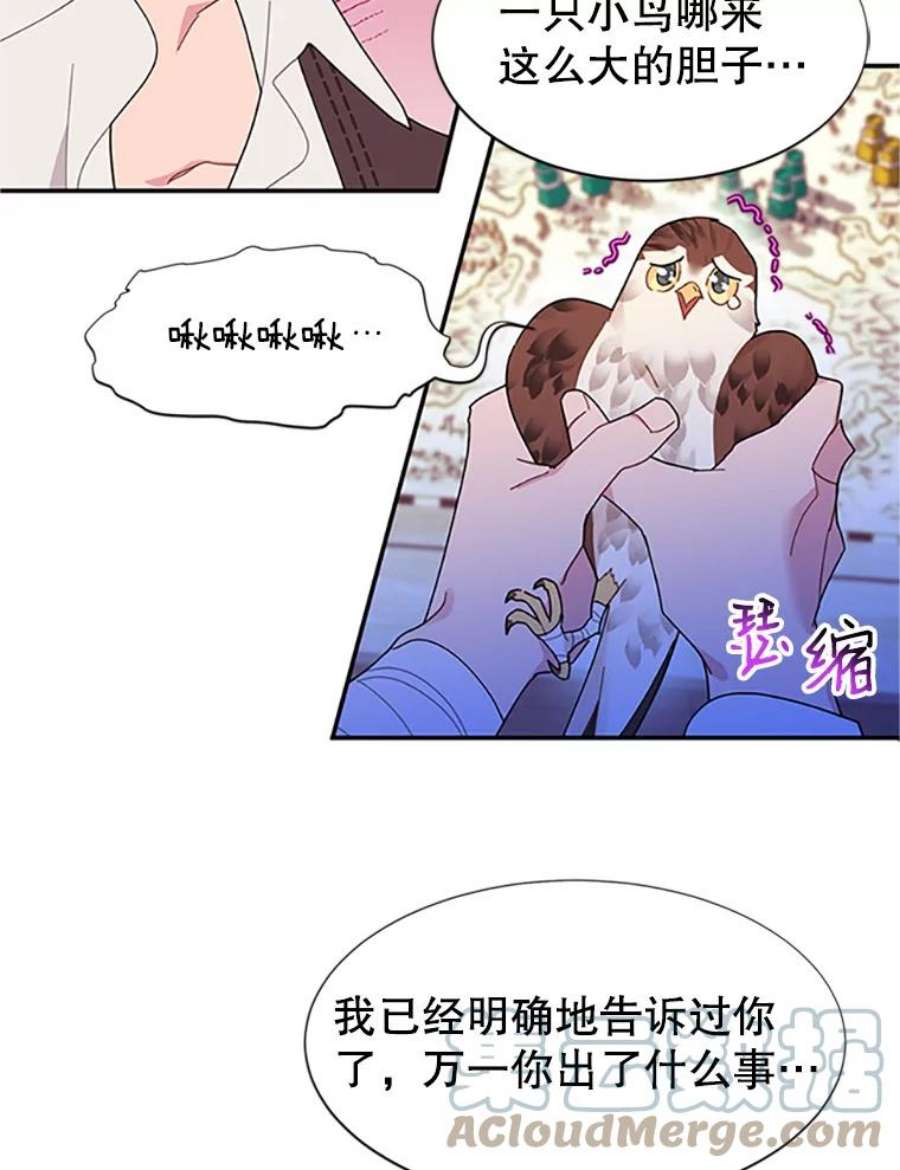 传令鸟公主殿下18.任务终止？！