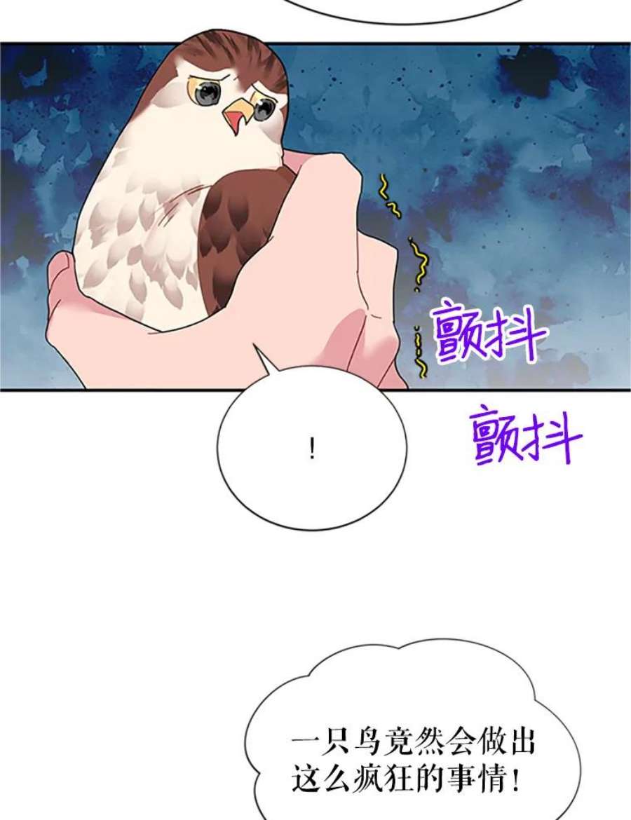 传令鸟公主殿下18.任务终止？！