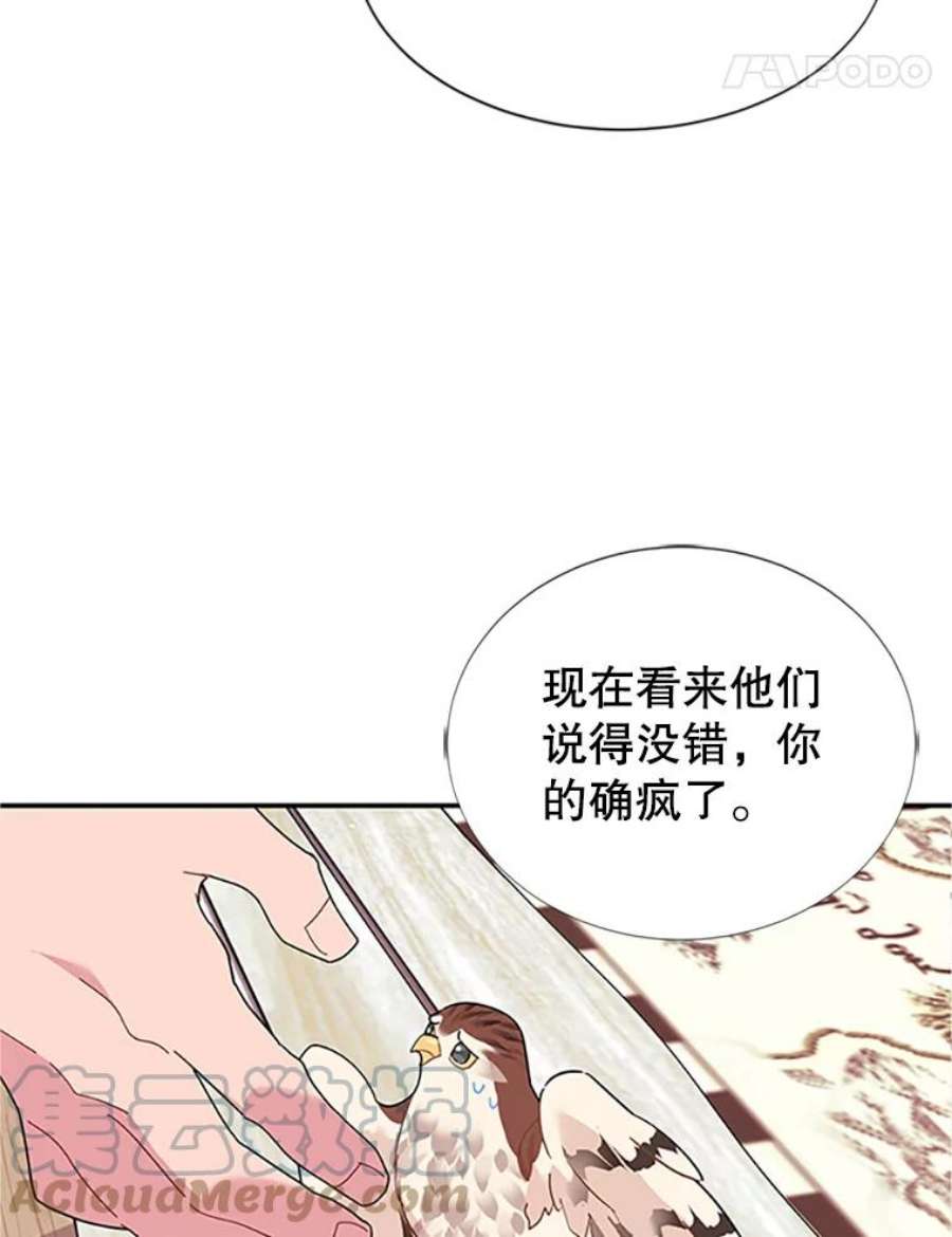 传令鸟公主殿下18.任务终止？！
