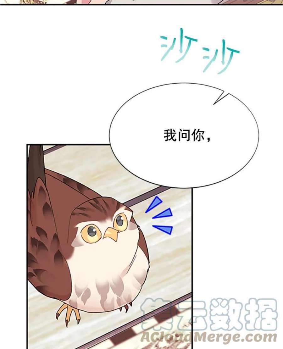 传令鸟公主殿下18.任务终止？！