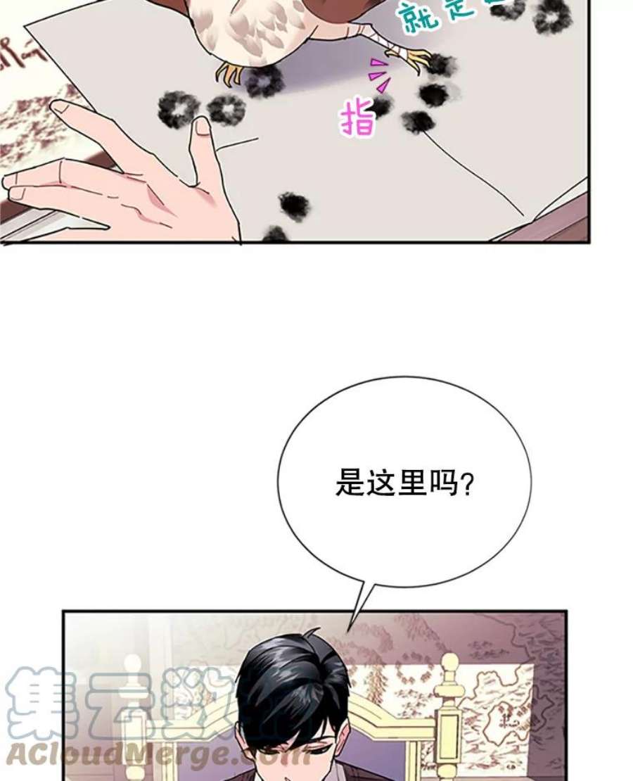 传令鸟公主殿下18.任务终止？！