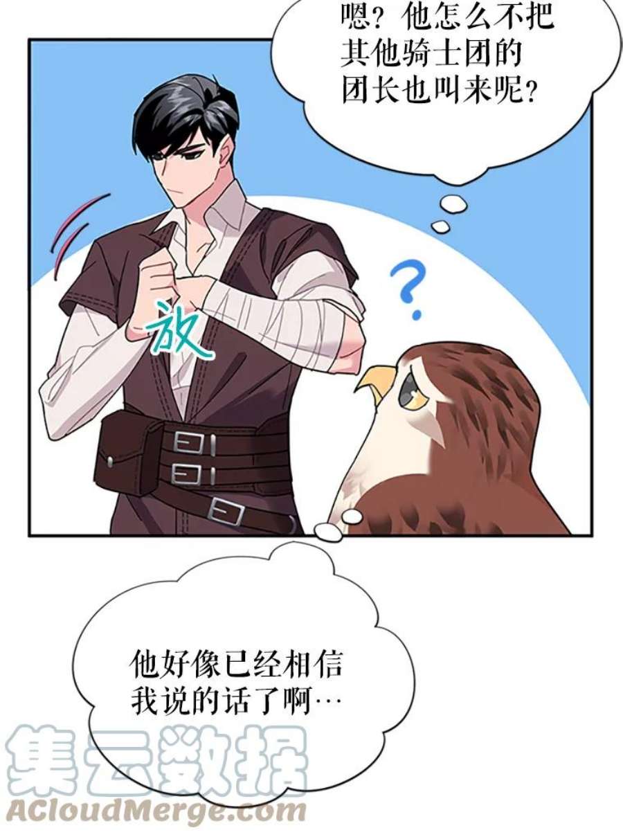 传令鸟公主殿下18.任务终止？！