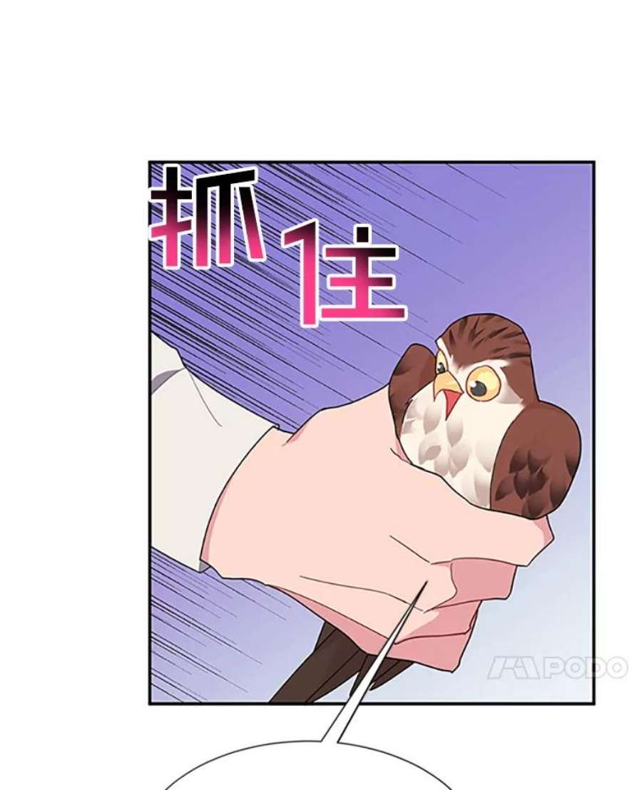 传令鸟公主殿下18.任务终止？！