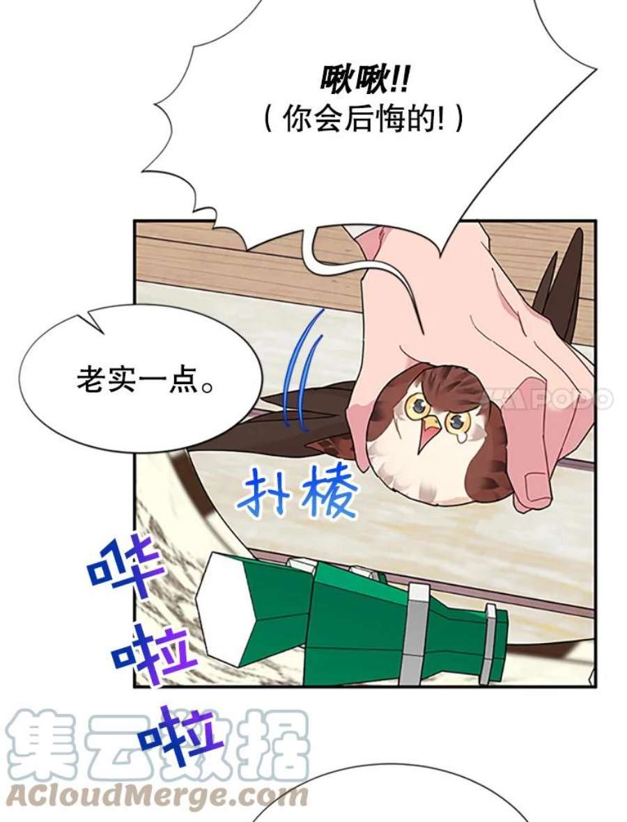 传令鸟公主殿下18.任务终止？！