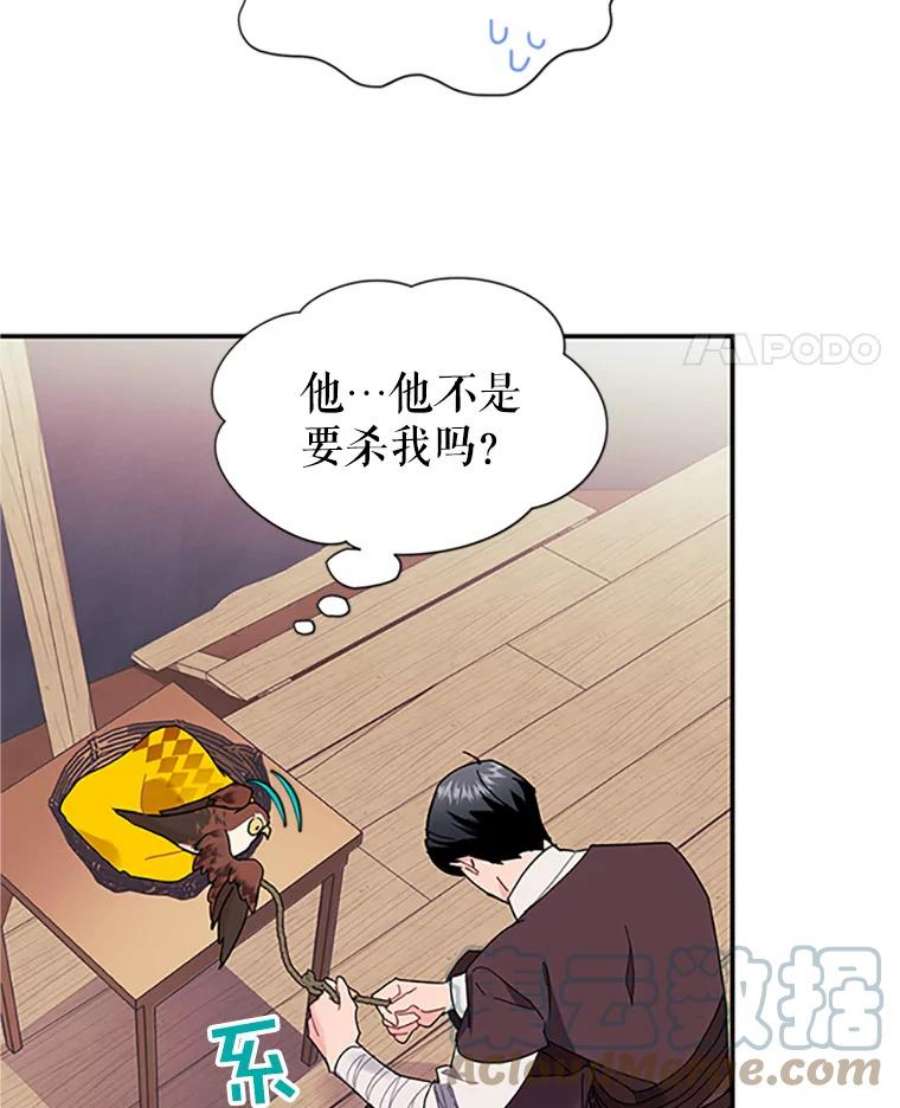 传令鸟公主殿下18.任务终止？！
