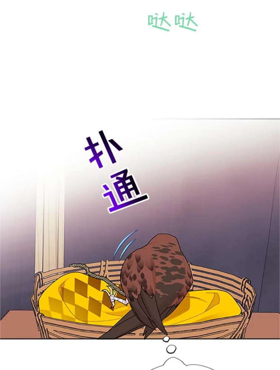 传令鸟公主殿下18.任务终止？！