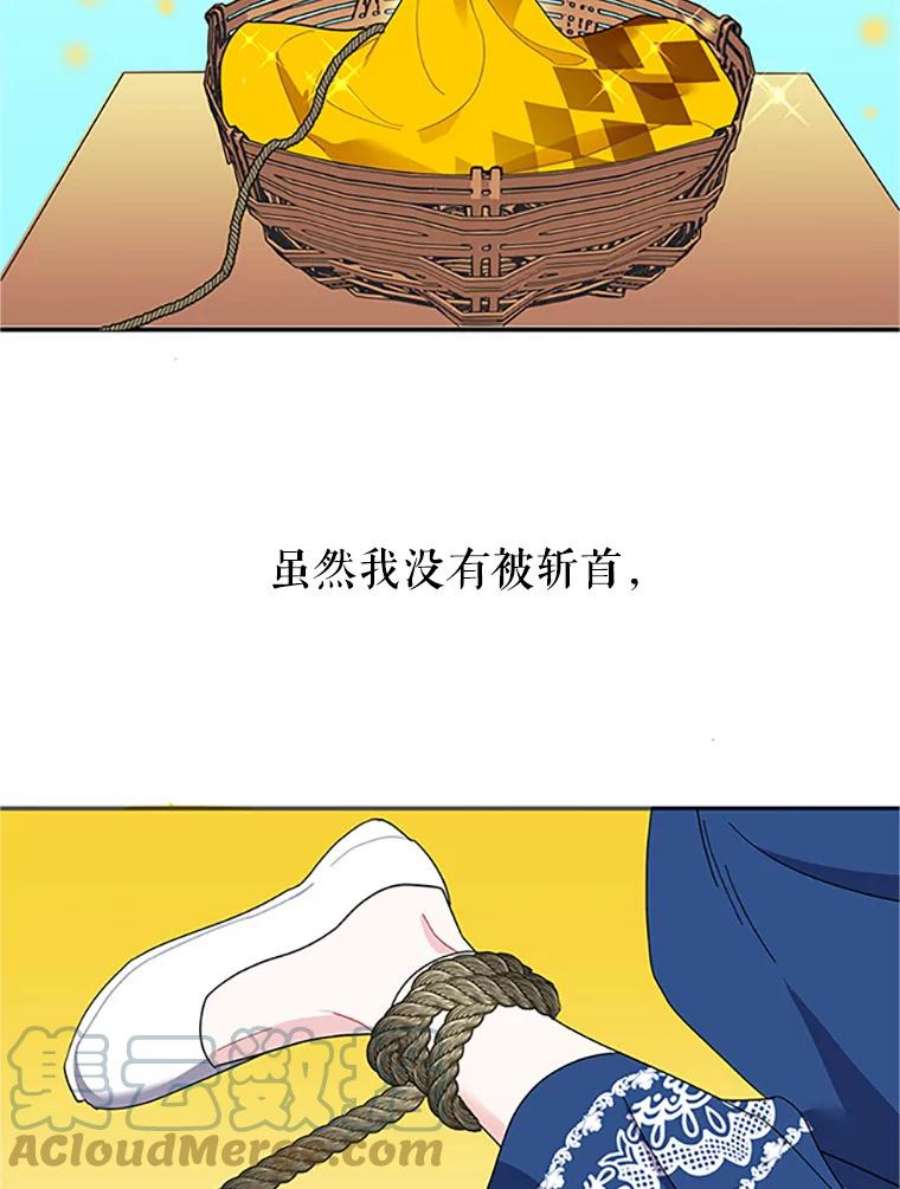 传令鸟公主殿下18.任务终止？！