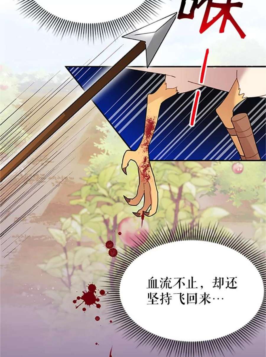 传令鸟公主殿下19.别再使唤我啦！