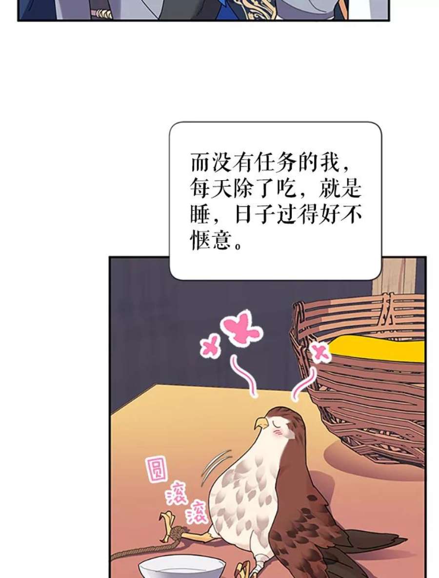 传令鸟公主殿下19.别再使唤我啦！