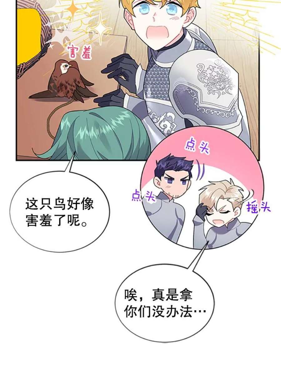 传令鸟公主殿下19.别再使唤我啦！