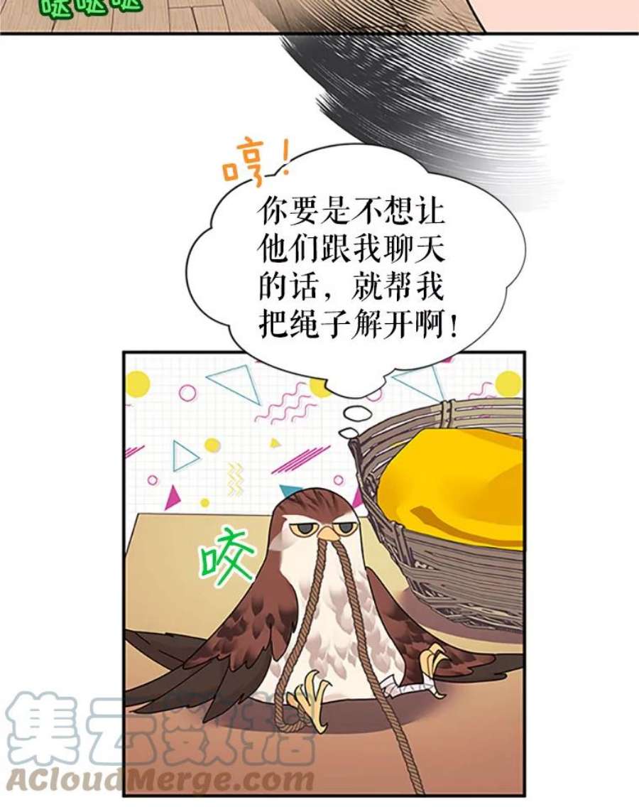 传令鸟公主殿下19.别再使唤我啦！