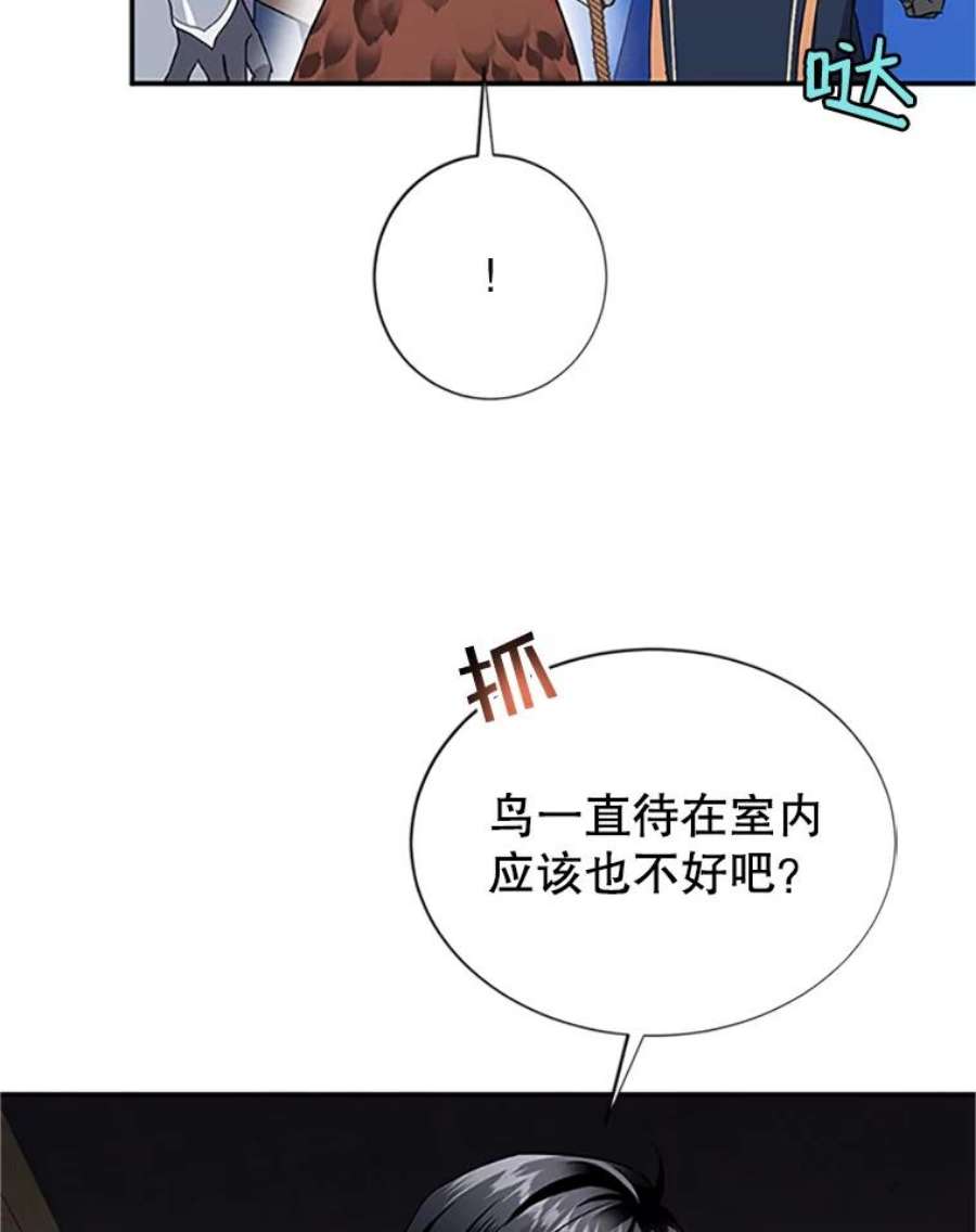 传令鸟公主殿下19.别再使唤我啦！
