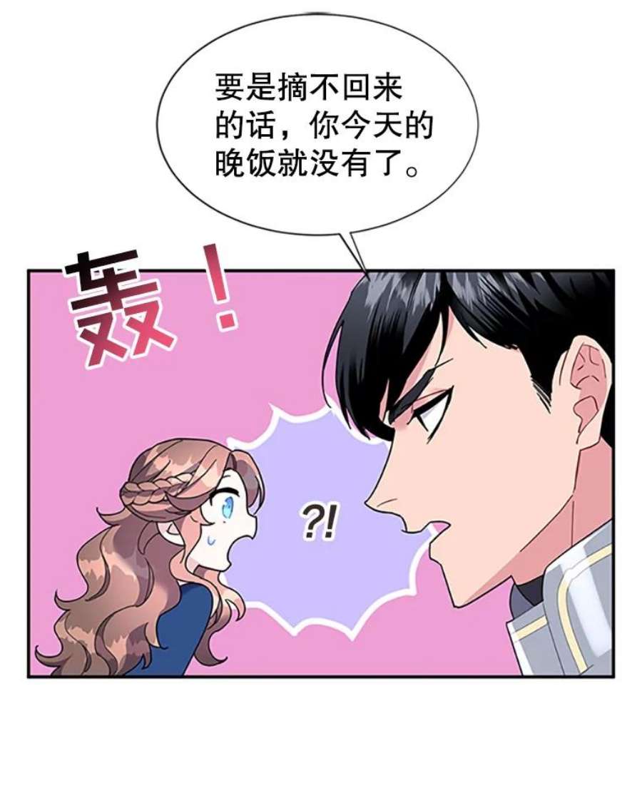 传令鸟公主殿下19.别再使唤我啦！