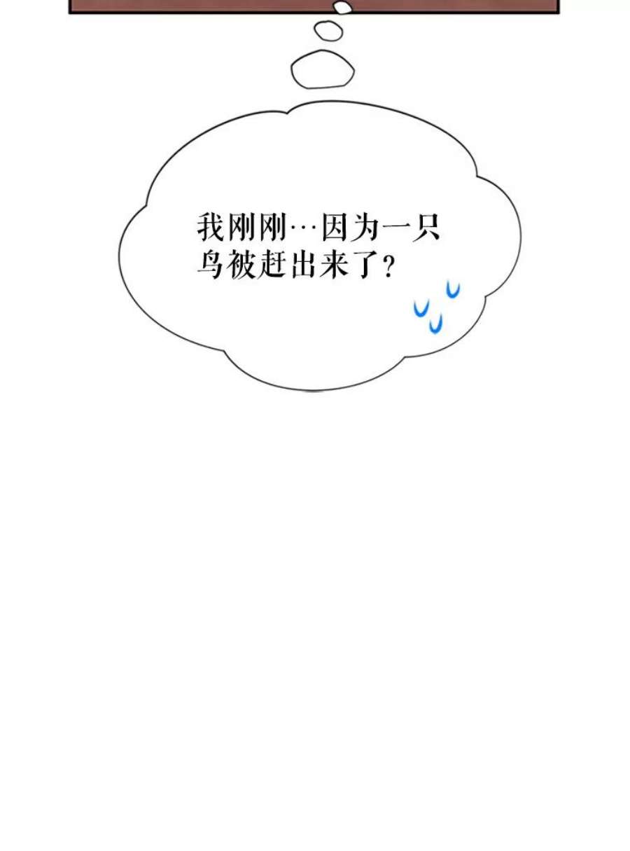 传令鸟公主殿下19.别再使唤我啦！