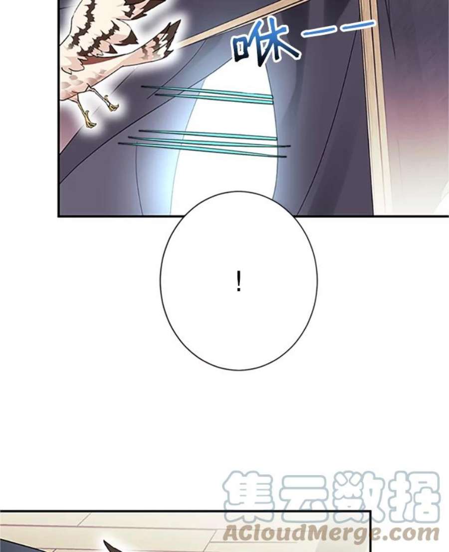 传令鸟公主殿下19.别再使唤我啦！
