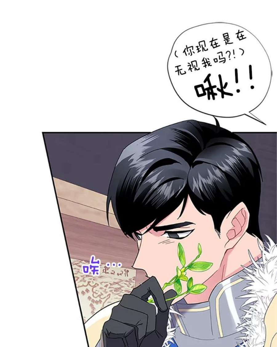 传令鸟公主殿下19.别再使唤我啦！