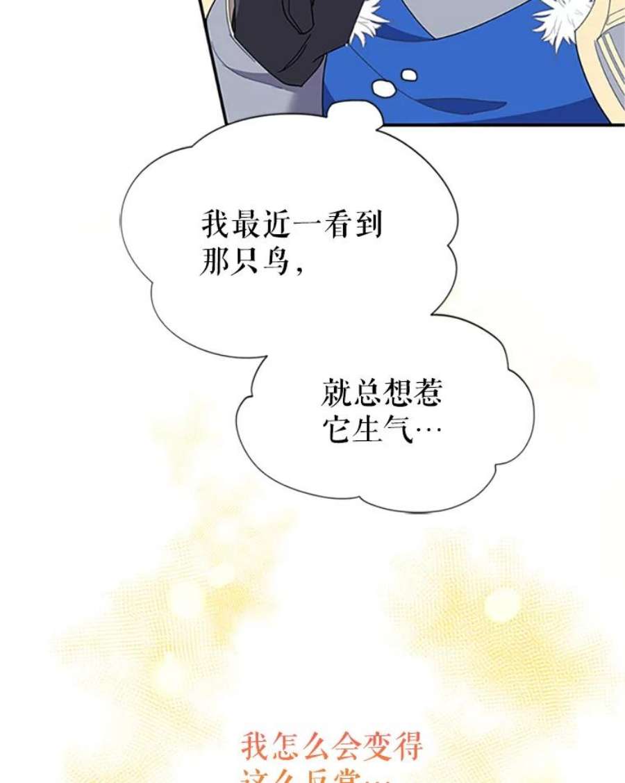 传令鸟公主殿下19.别再使唤我啦！