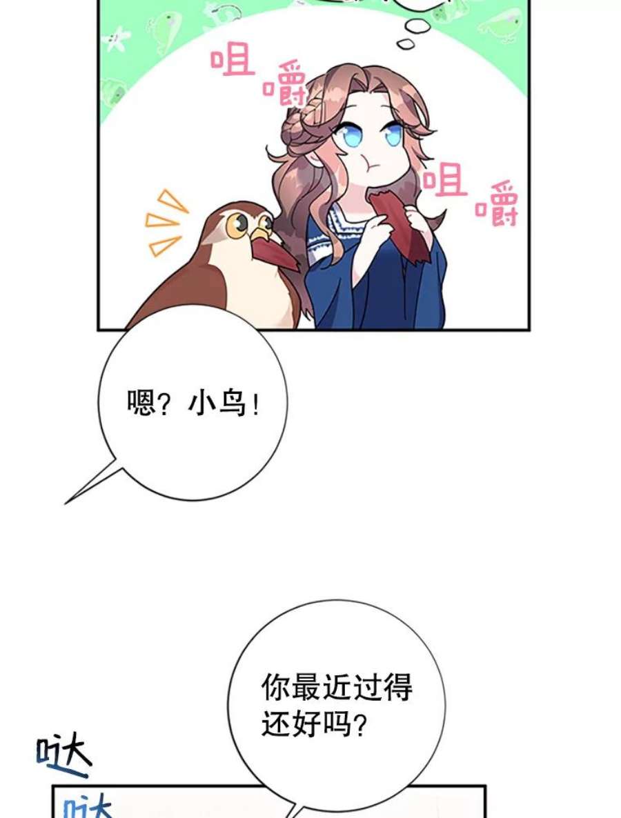 传令鸟公主殿下20.法拉尔的爱鸟？