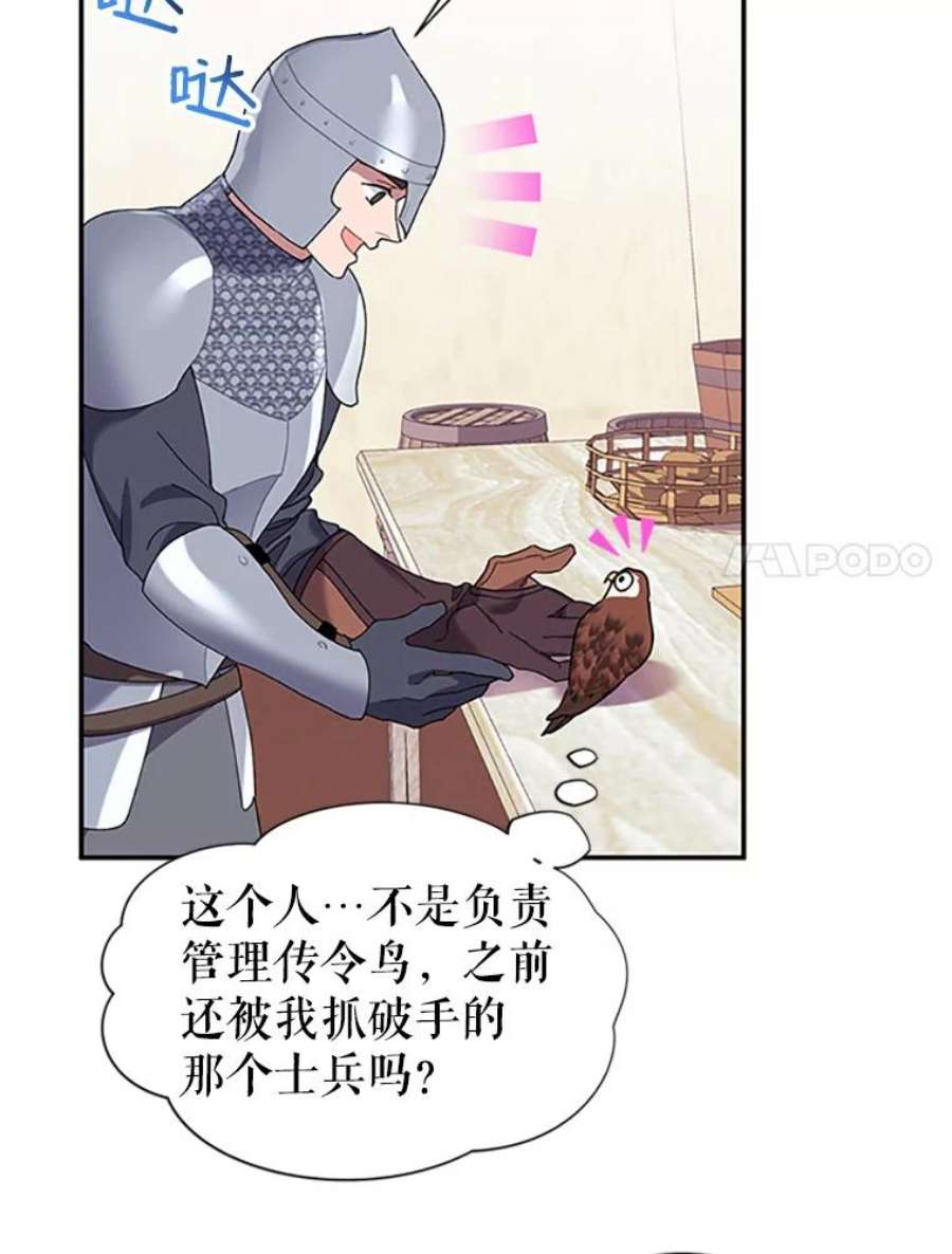 传令鸟公主殿下20.法拉尔的爱鸟？