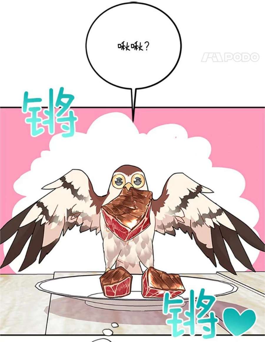 传令鸟公主殿下20.法拉尔的爱鸟？
